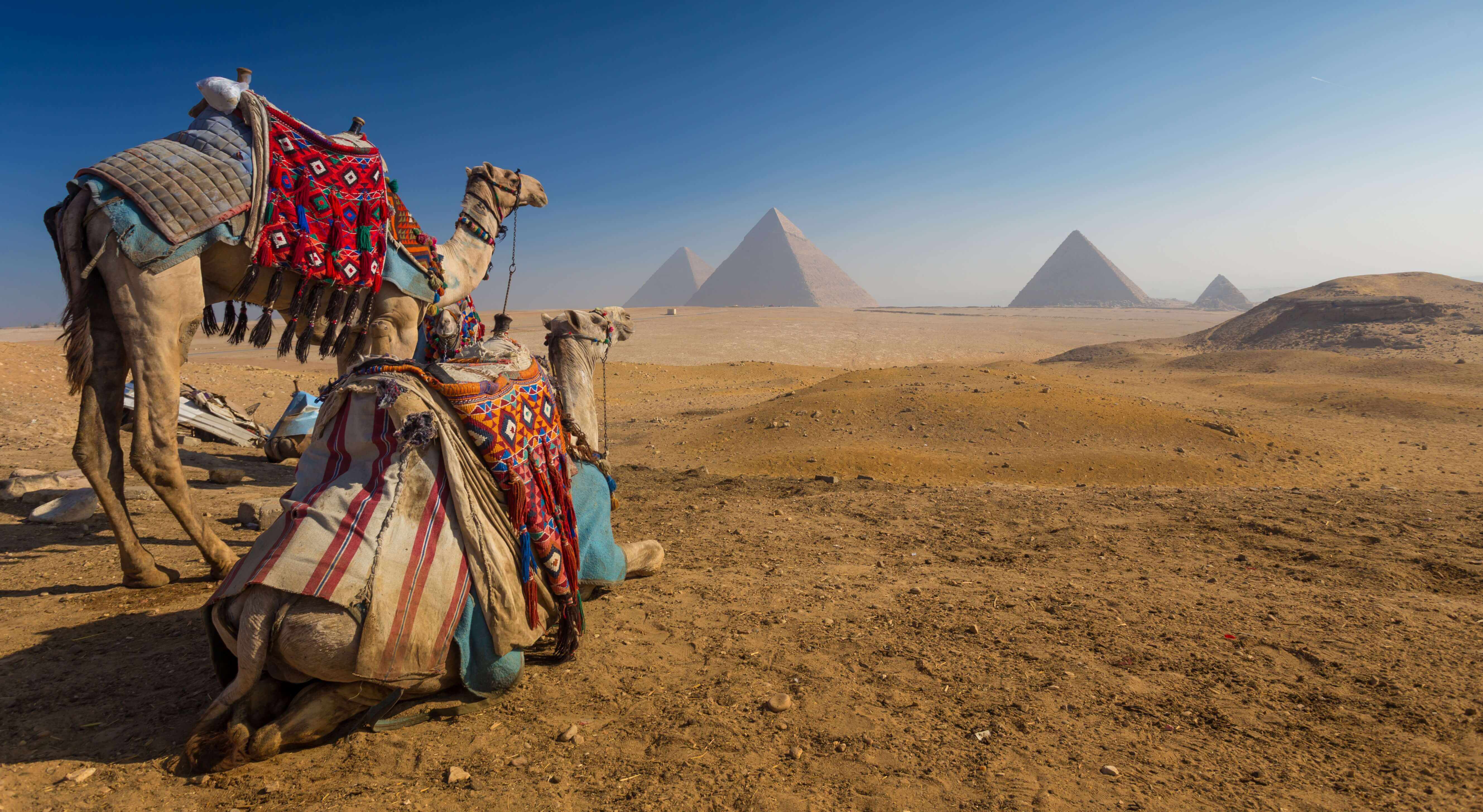 tour of egypt